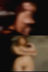 Looking sex huge cocks