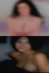 Females cougars